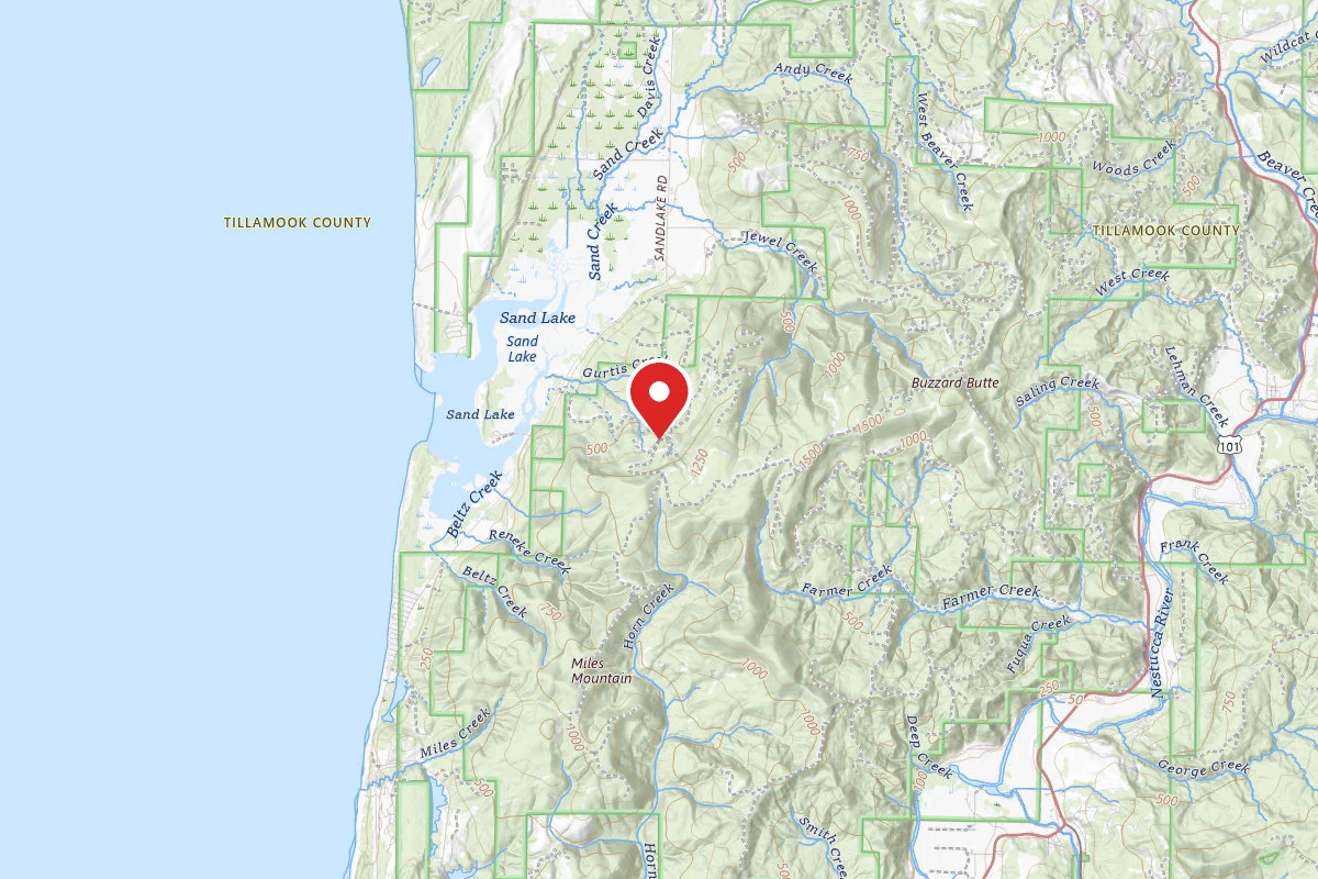 Siuslaw National Forest Dispersed Camping