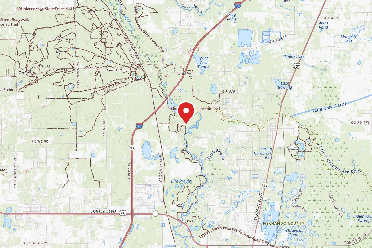 Withlacoochee SF/Croom Tract - Crooked River - Silver Lake Rec
