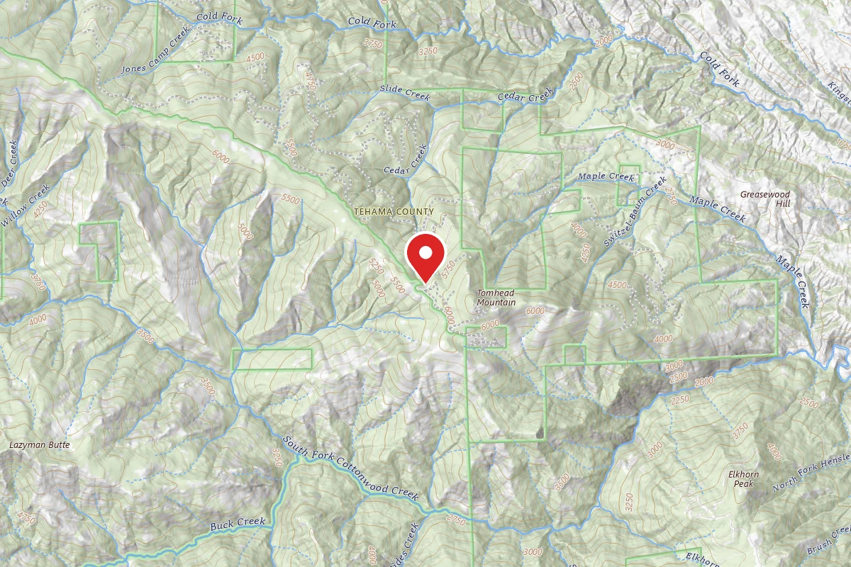 Tomhead Saddle Campground