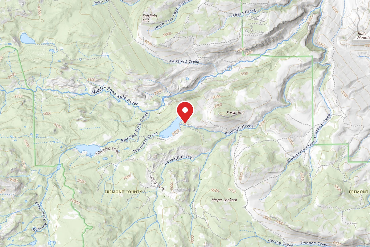 Frye Lake - Dispersed Campsites