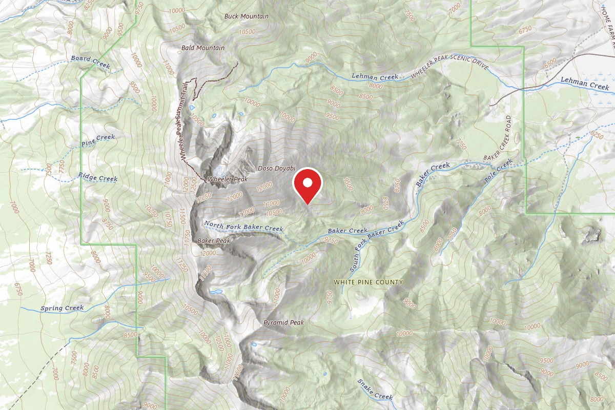Great Basin BLM - Snake Range