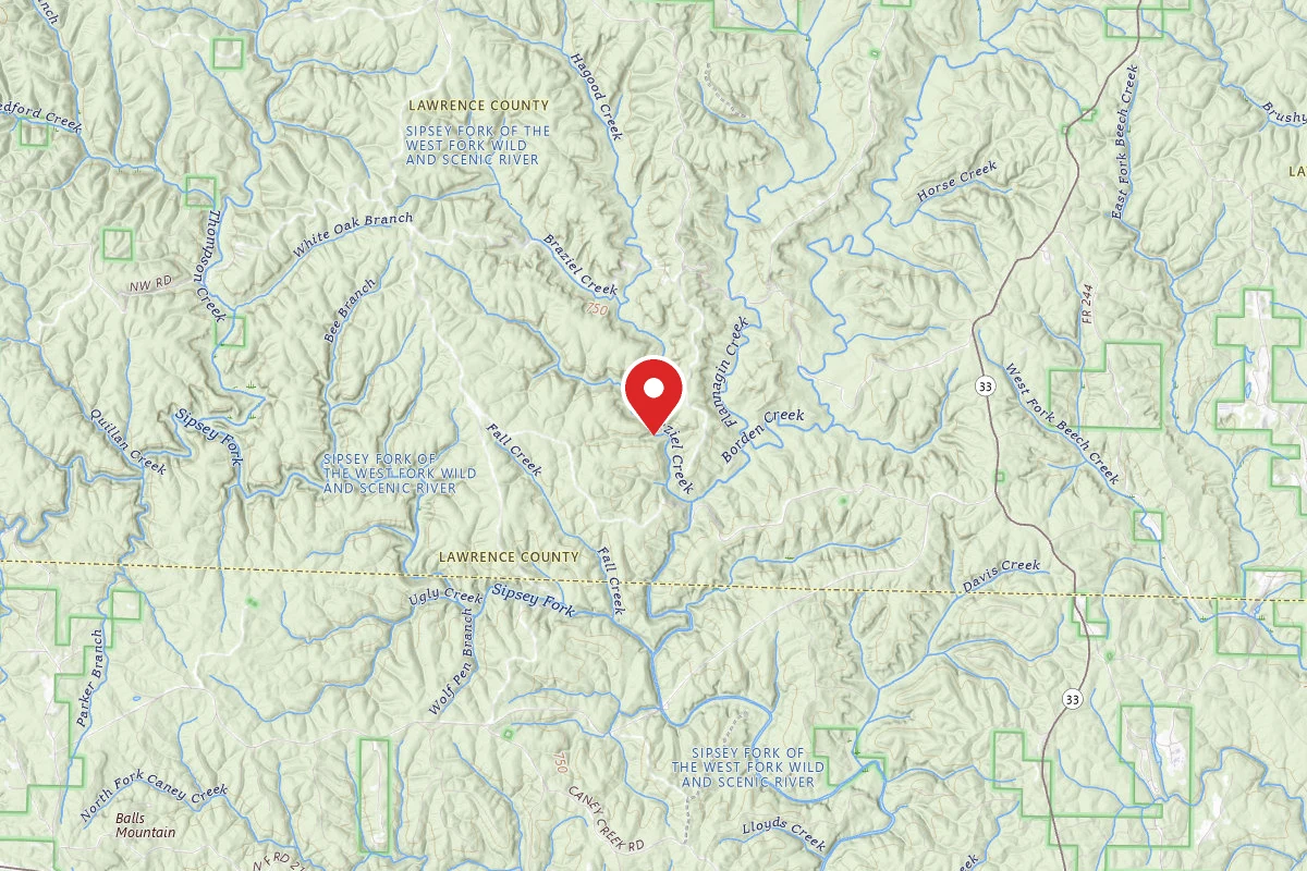 Sipsey Wilderness Backcountry Site (Trail 207 Site B)