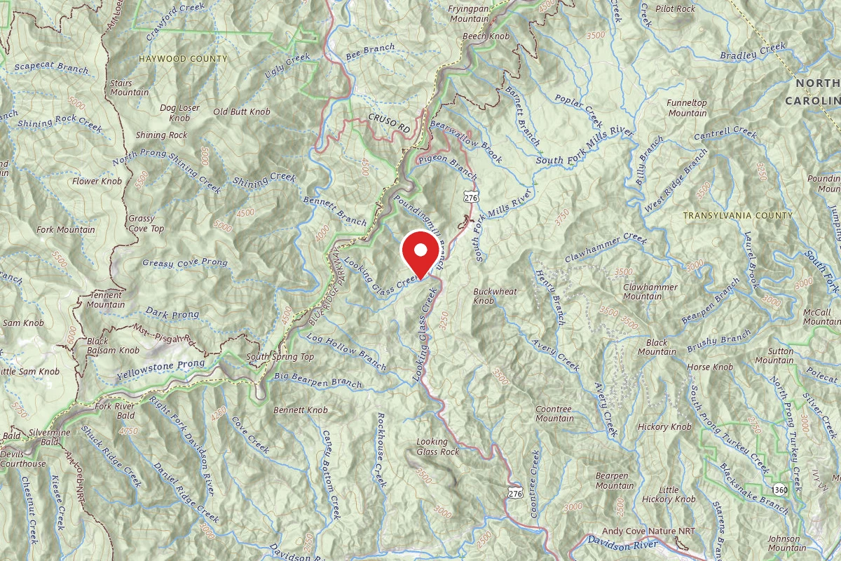 Upper Cove Creek - UCC2 Dispersed