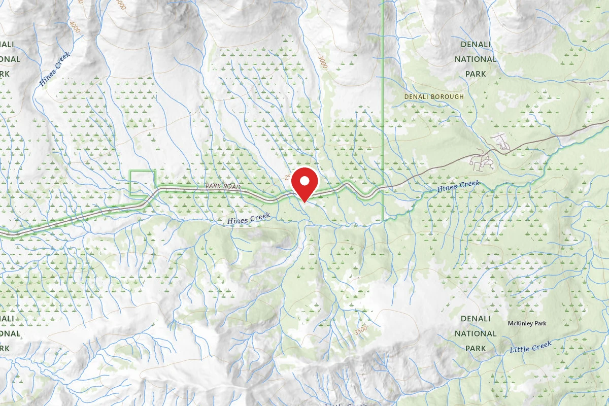 Denali Backcountry Entrance Units