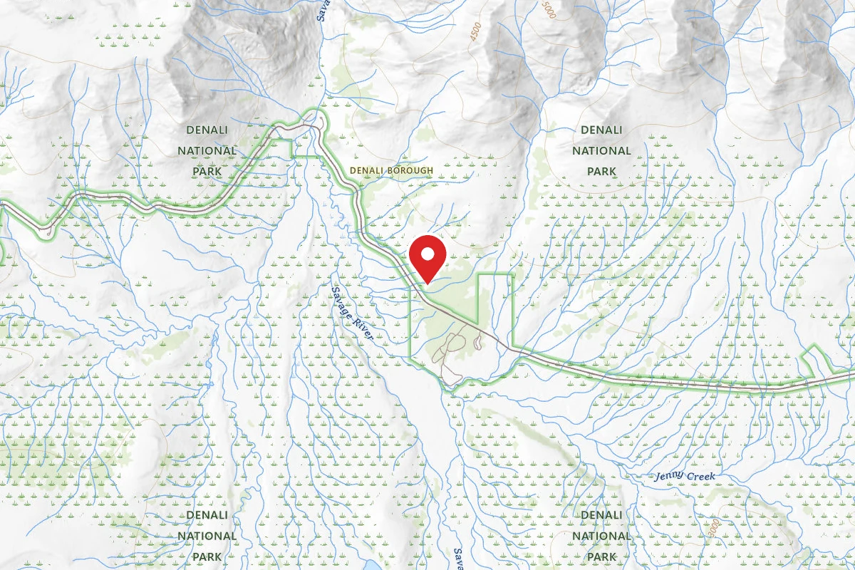 Savage River Campground - Denali National Park