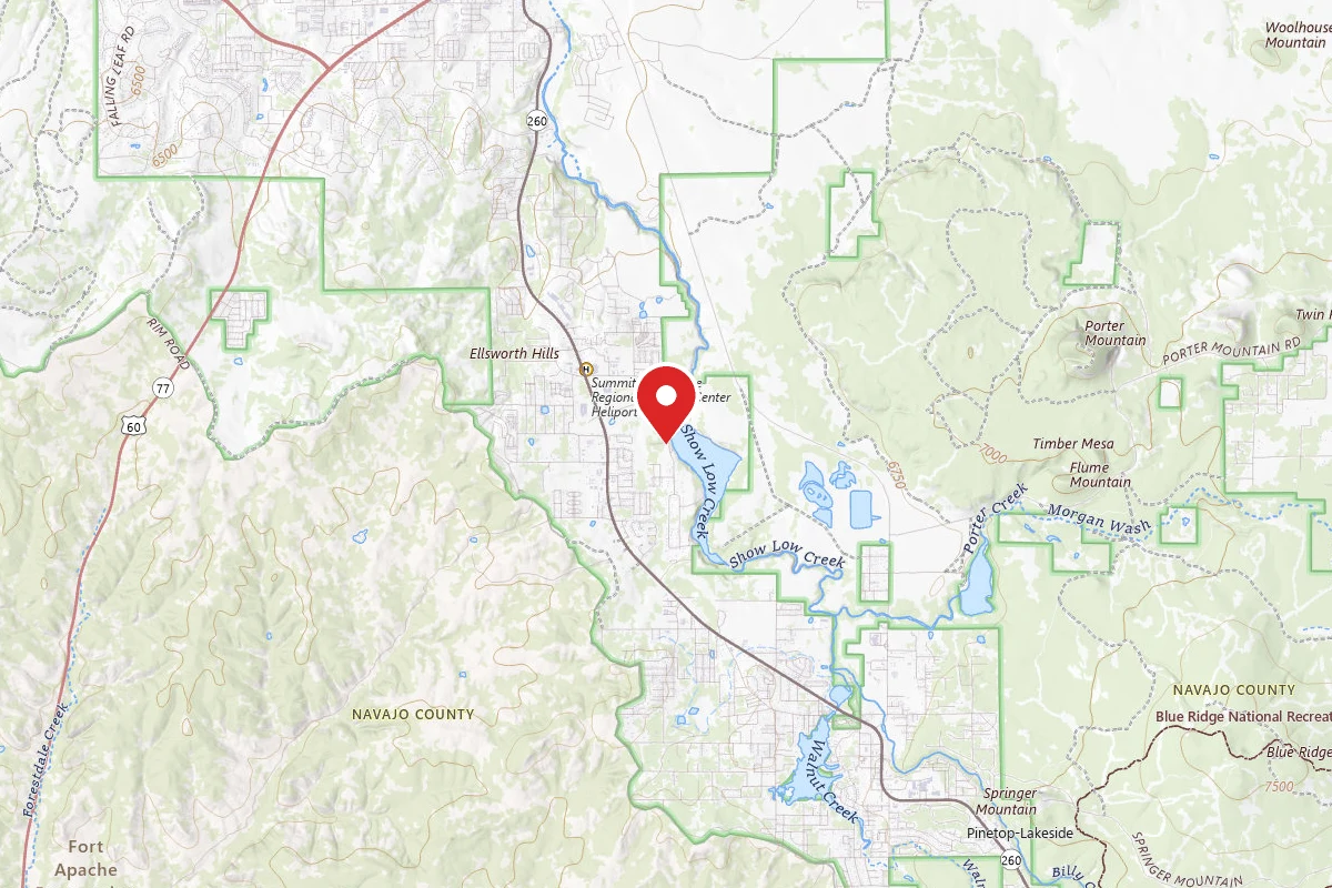 Show Low Lake Campground