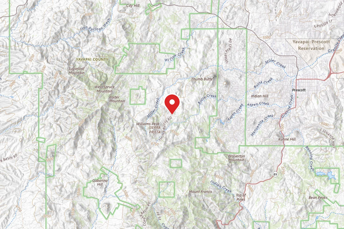 FDR51 Potts Creek Road Dispersed Camping