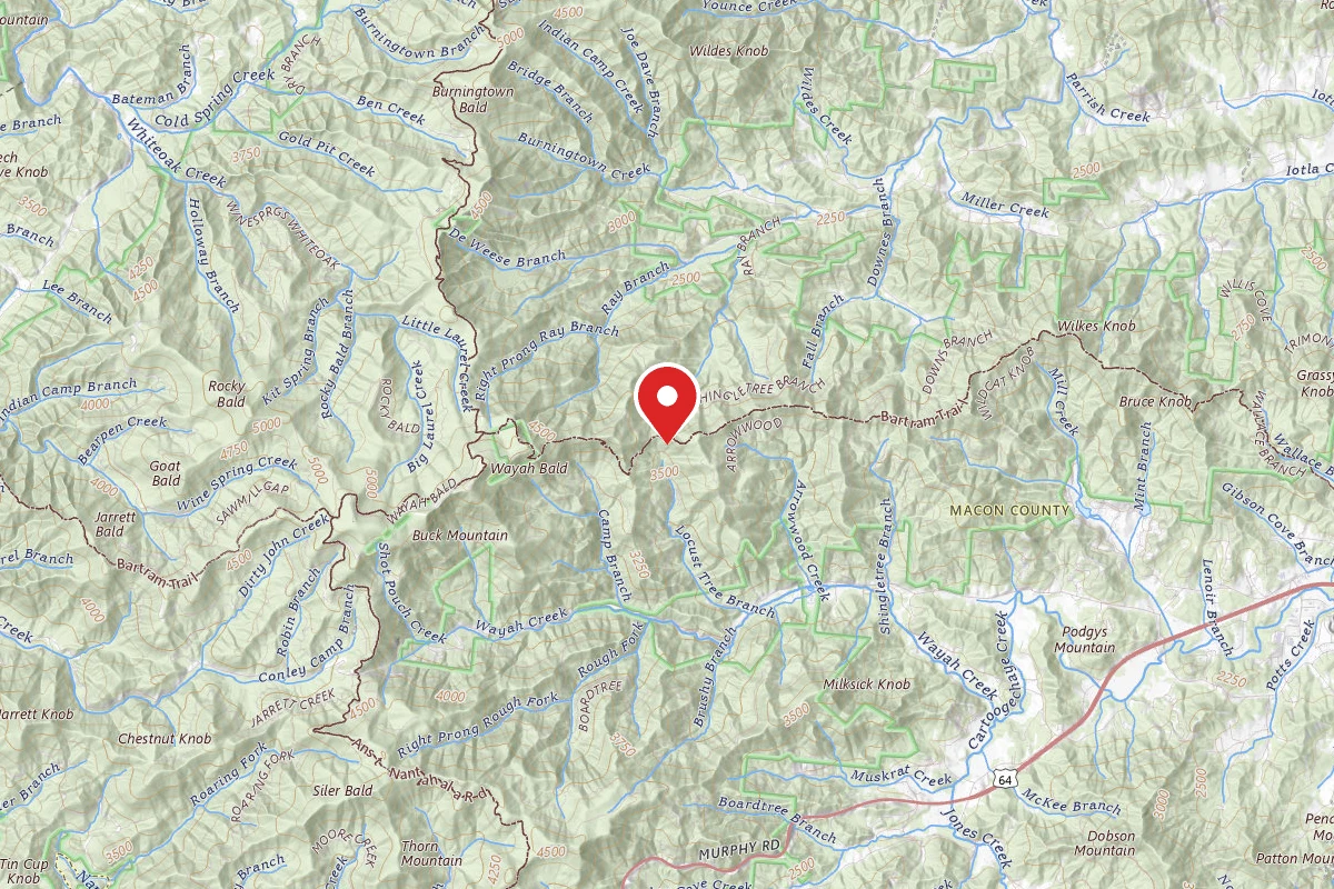 Bartram Trail Campground Past Wayah Bald