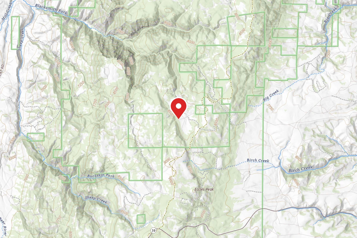Curtis Creek / Arbs Basin