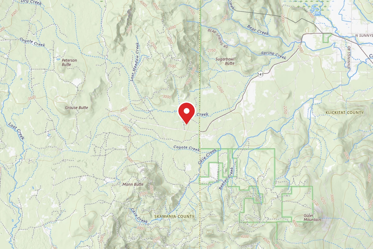 NF 020 - Trout Lake Dispersed Site