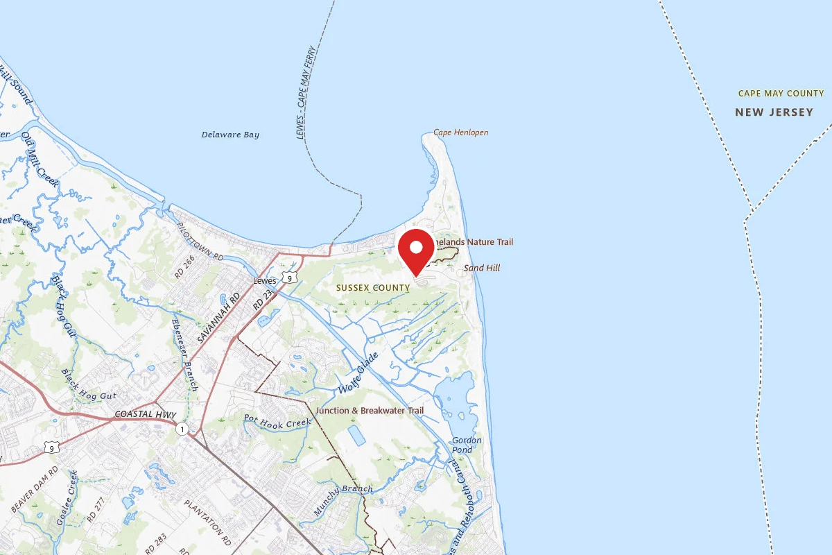 Cape Henlopen State Park