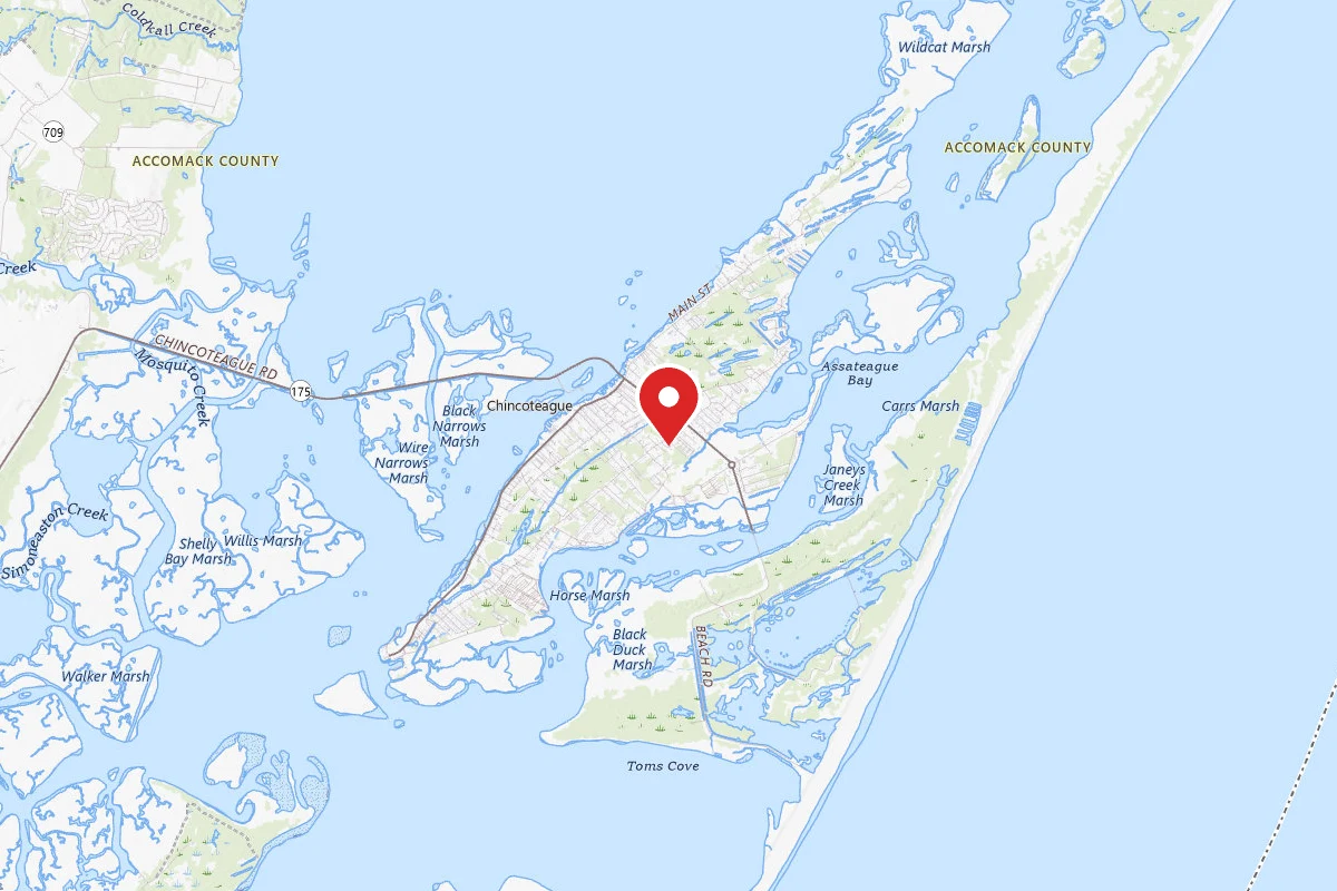 Chincoteague Pony Centre