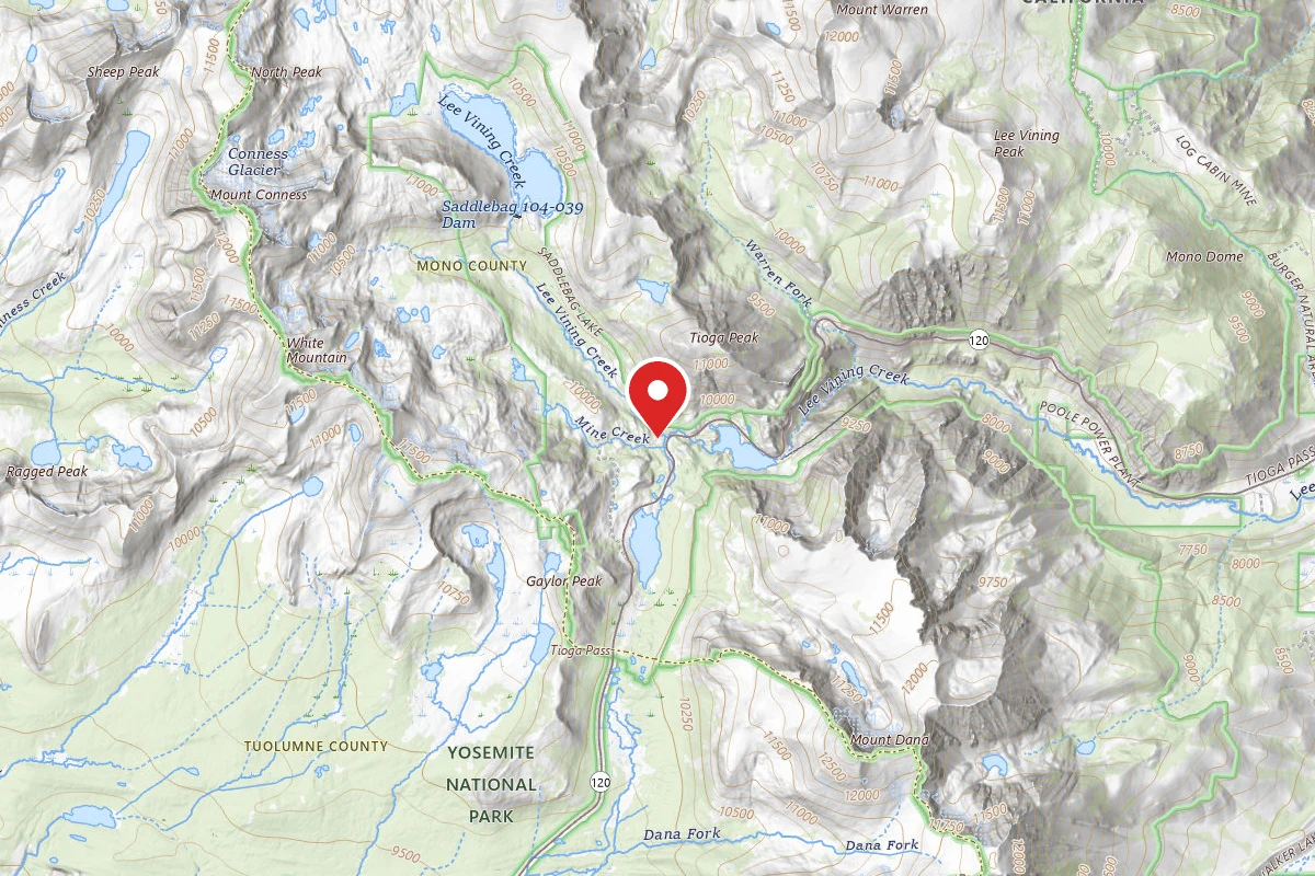 Junction Campground