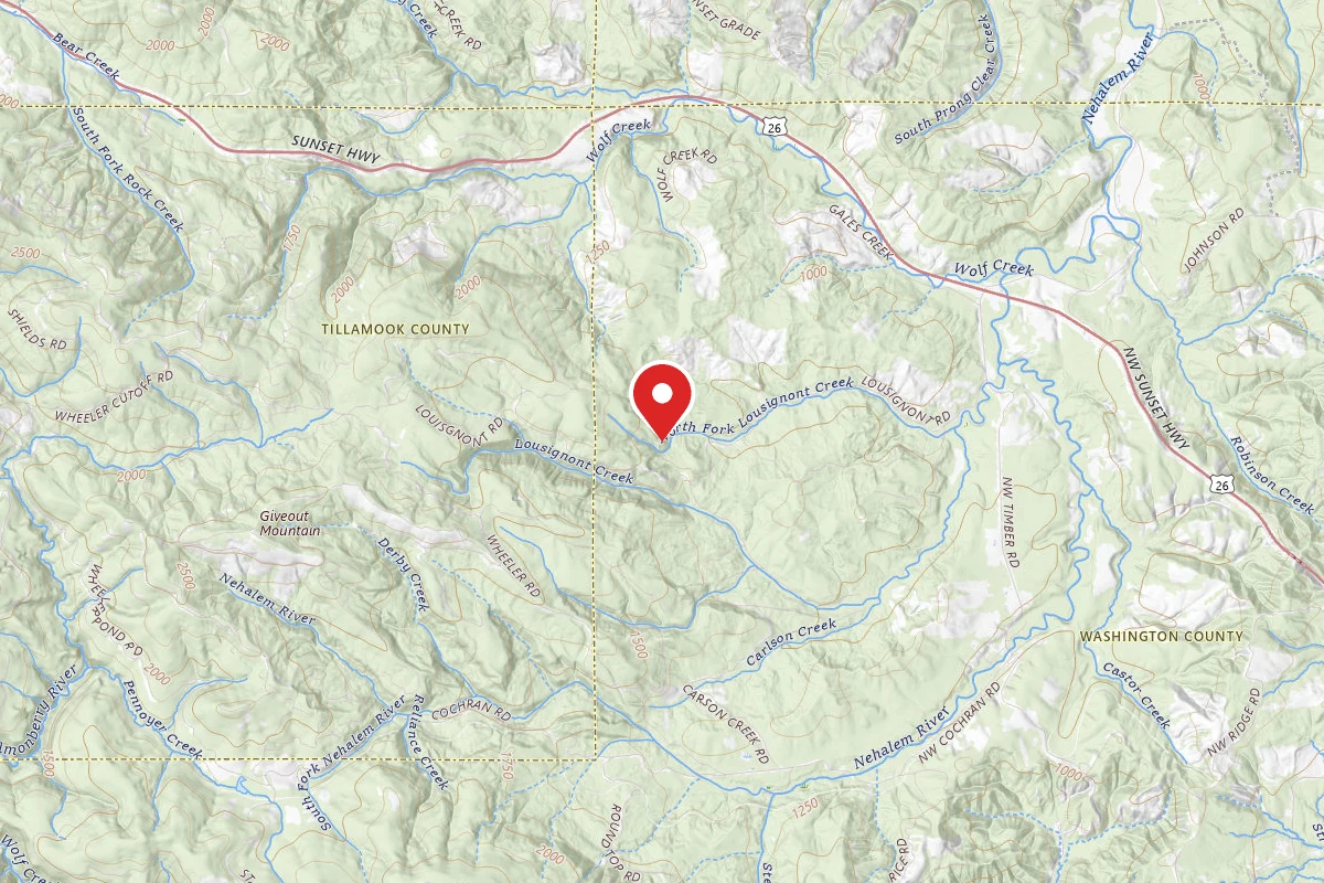Tillamook Forest Dispersed - Shots and Pecks
