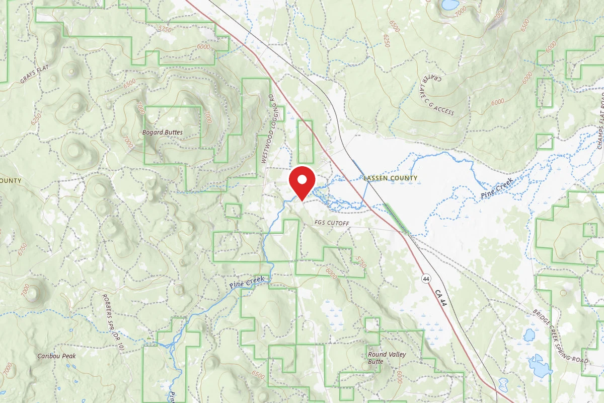 Bogard Campground