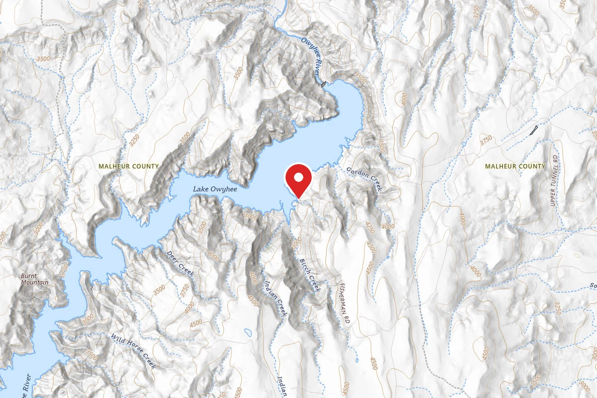 Lake Owyhee State Park