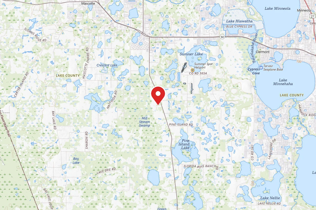 Braune’s Hideout at The Green Swamp!
