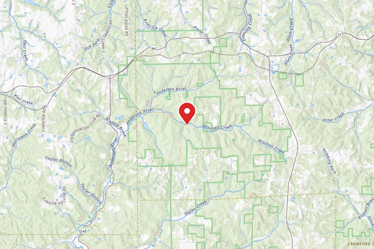 Mitchell Creek Road Dispersed