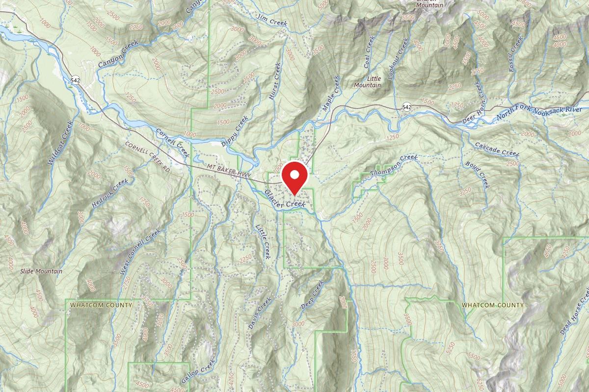 Mt. Baker Rim Cabin #17