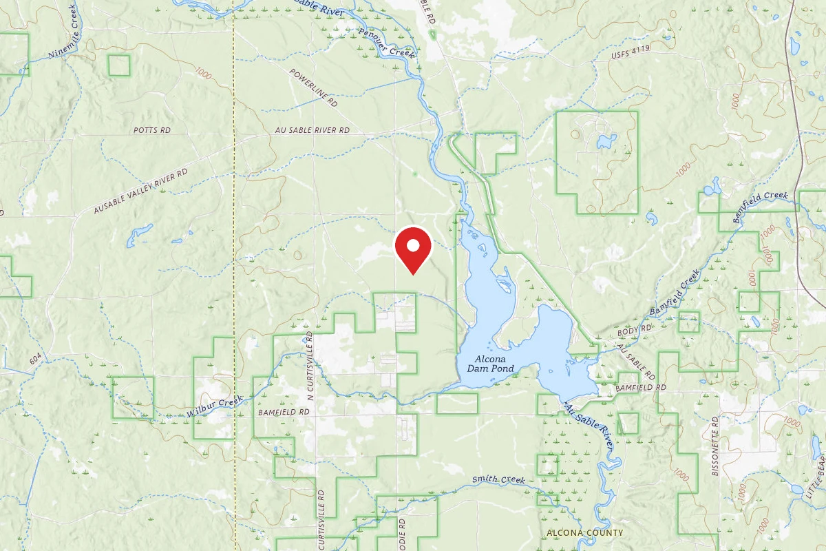 Huron-Manistee National Forest