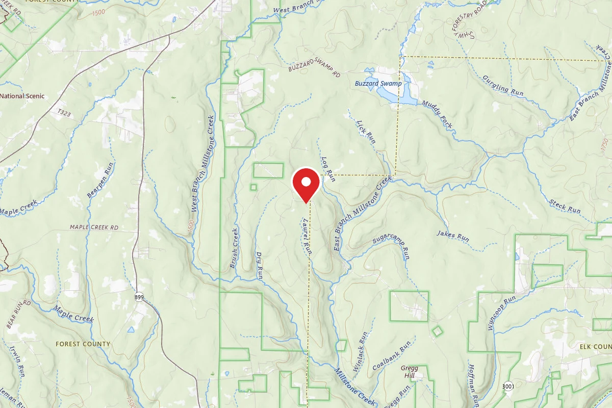 Loleta Road Dispersed Campsite