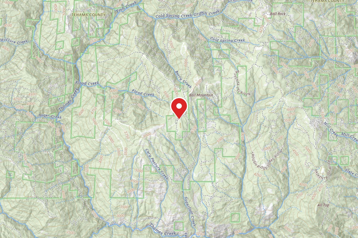 Three Prong Campground