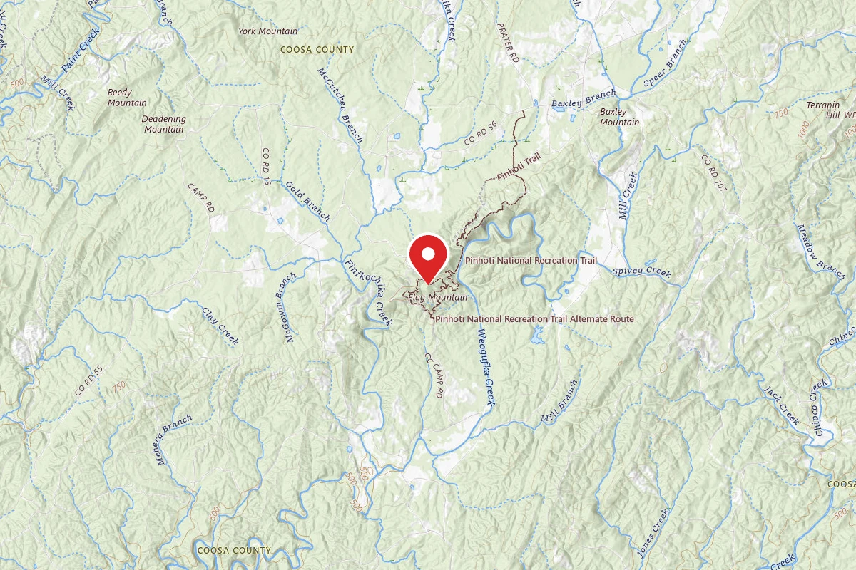 Weogufka State Forest Campsite 2