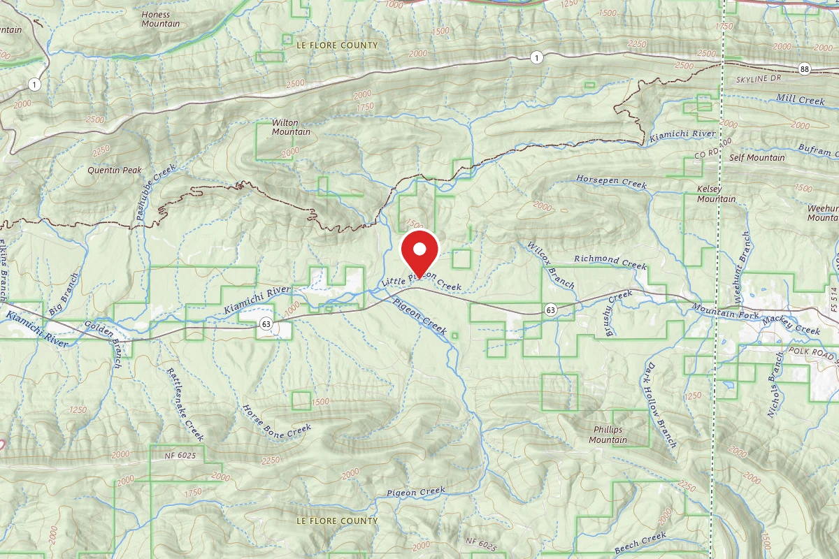 Pigeon Creek Dispersed