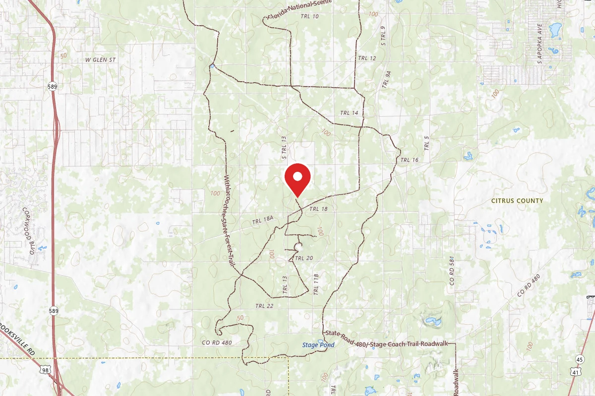Tillis Hill Recreation Area - Withlacoochee State Forest
