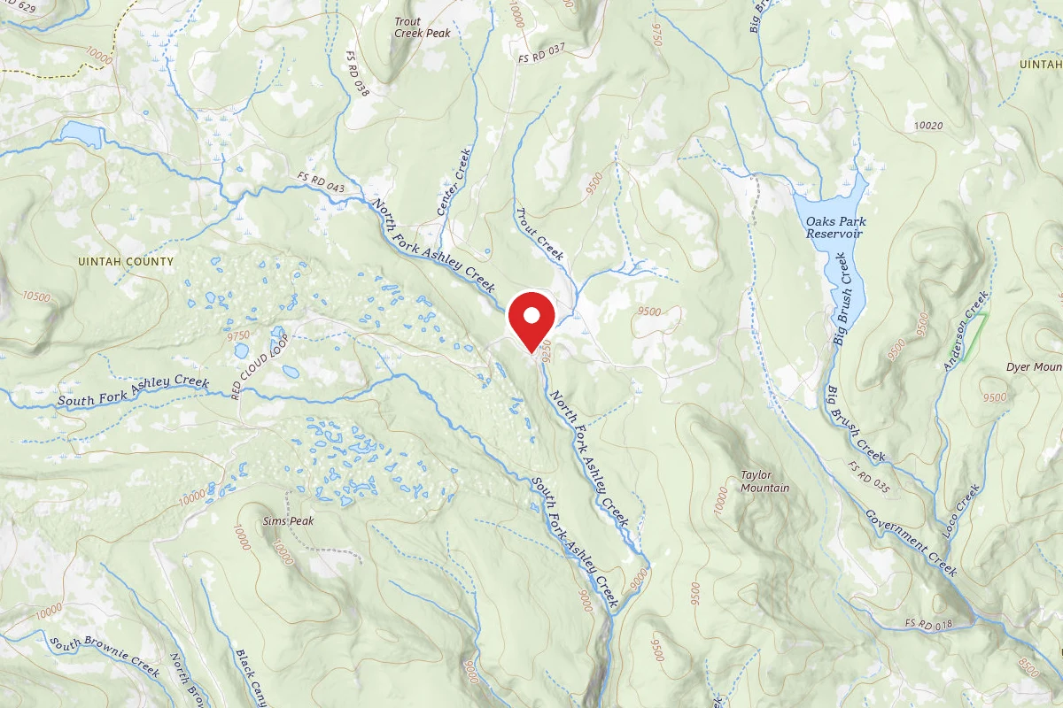 North Fork Camping Area