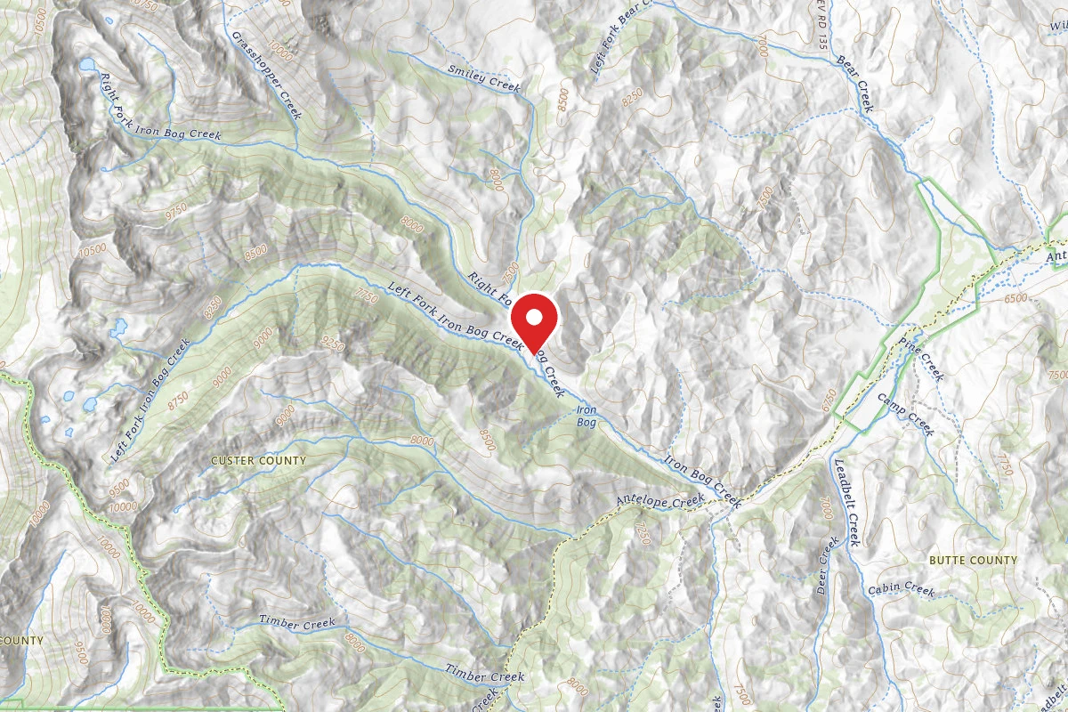Iron Bog Campground