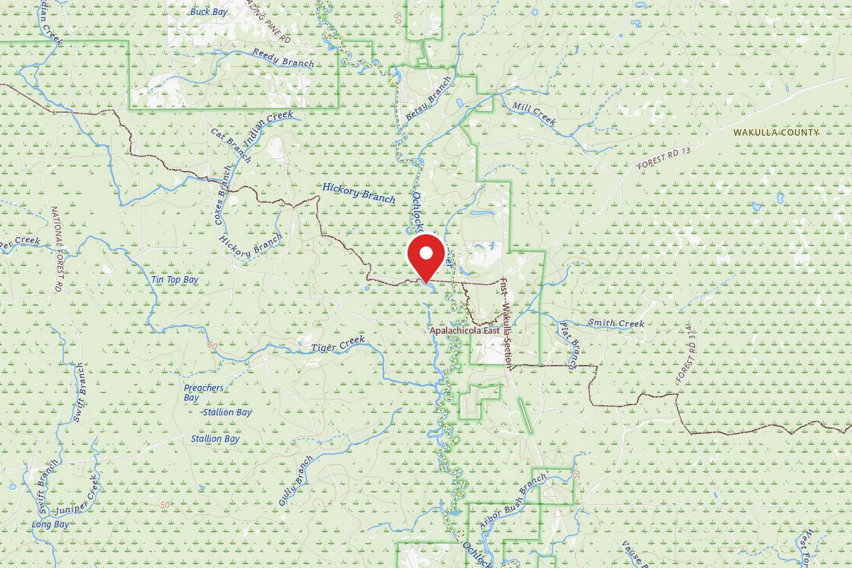 Apalachicola National Forest Porter Lake Campground