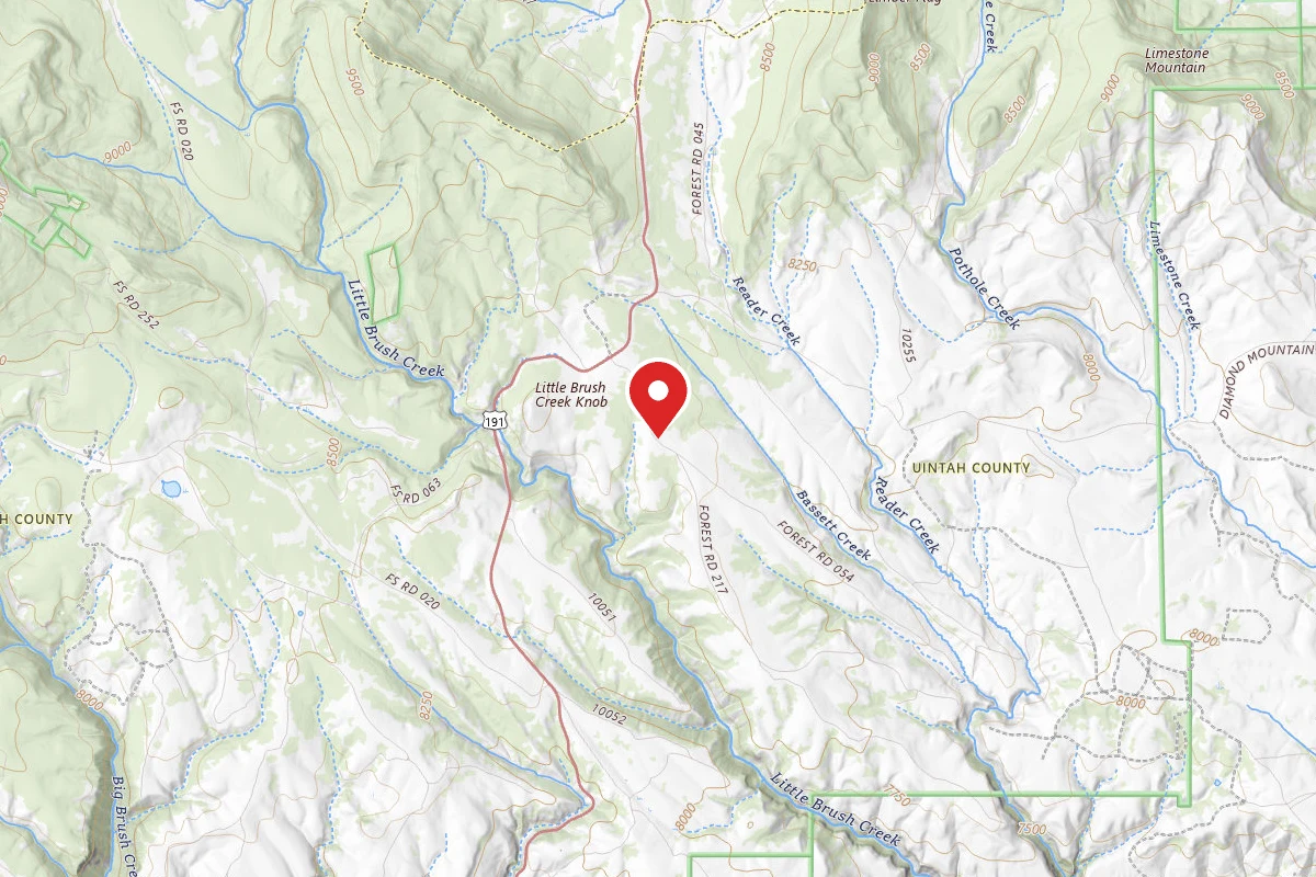 Forest Service Road 217 Dispersed