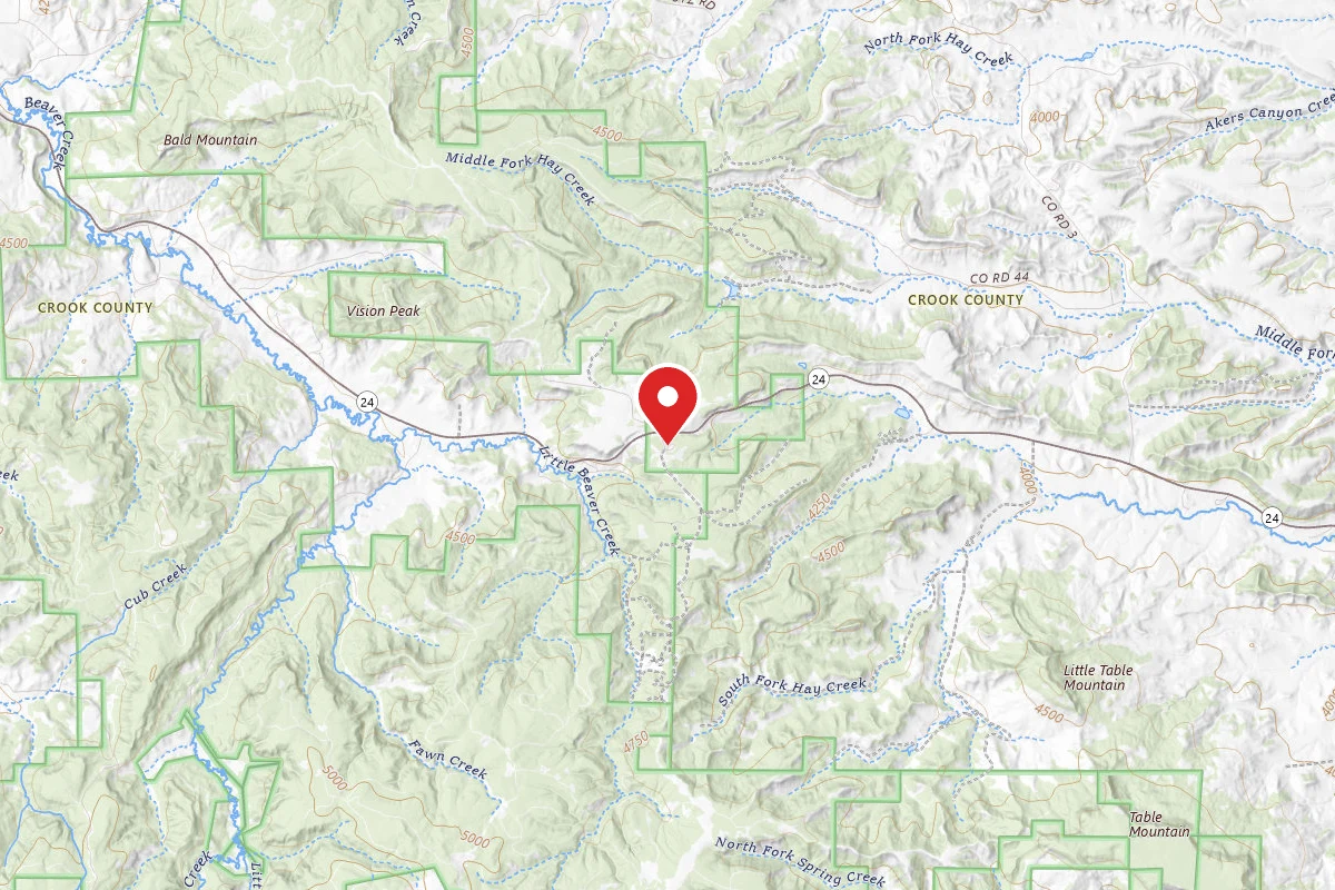 Bearlodge Campground