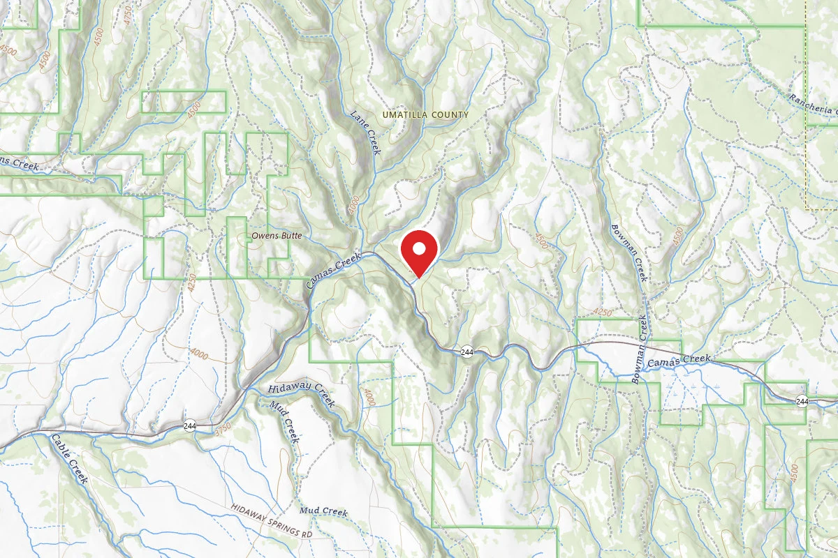 Bear Wallow Creek