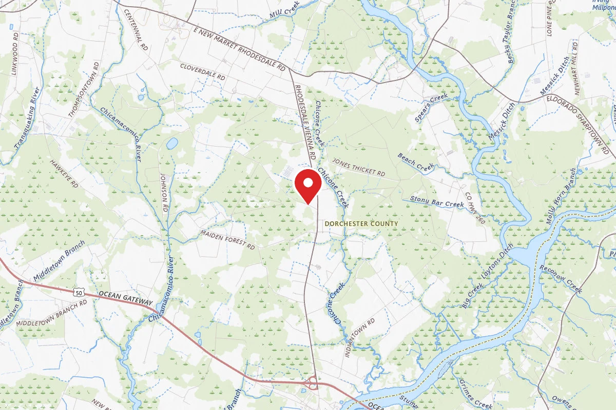 Vienna Maryland Wooded Campsite
