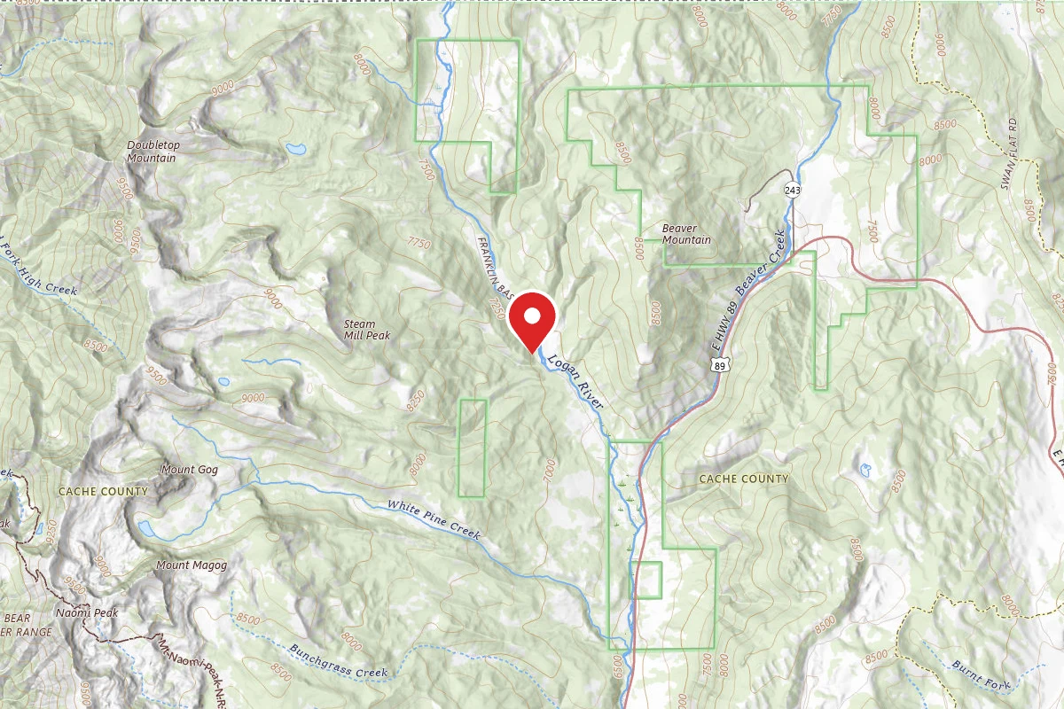 Franklin Basin Dispersed Camping