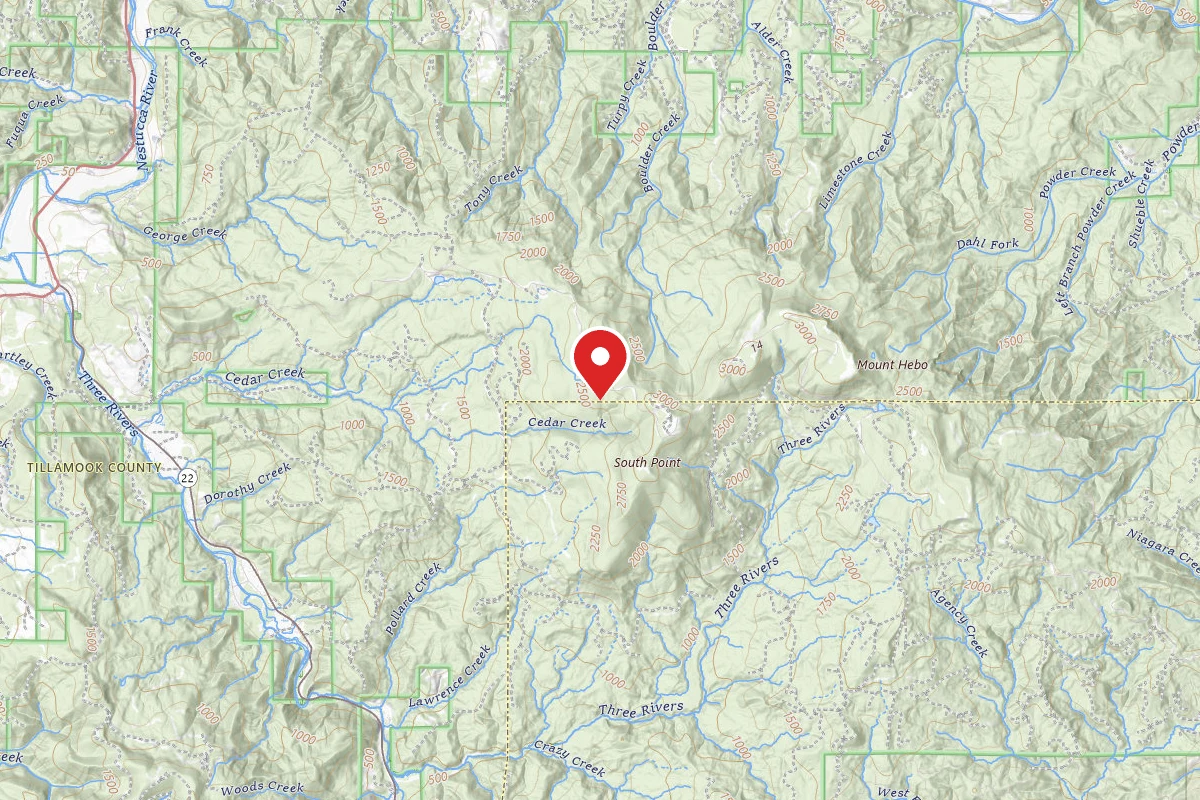 Dispersed Camping Near Pioneer-Indian Trail in Siuslaw National Forest