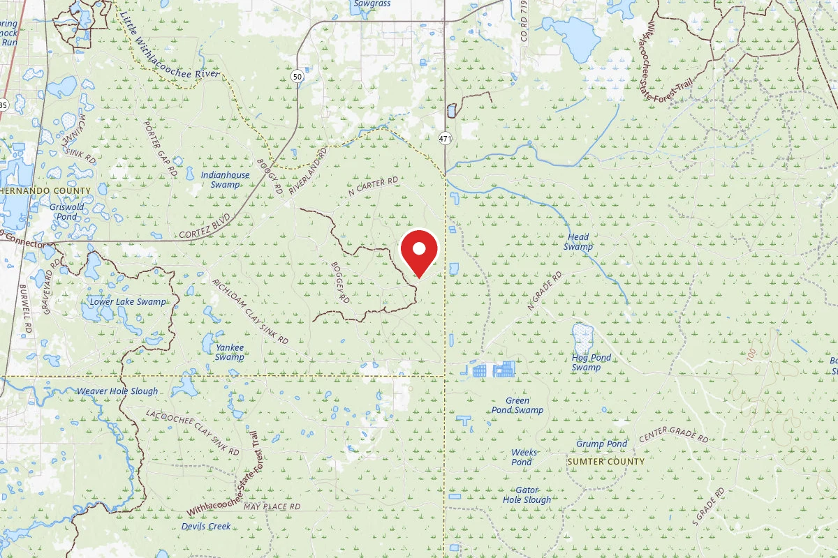 Florida / Groveland Richloam WMA - Bay Lake Camp