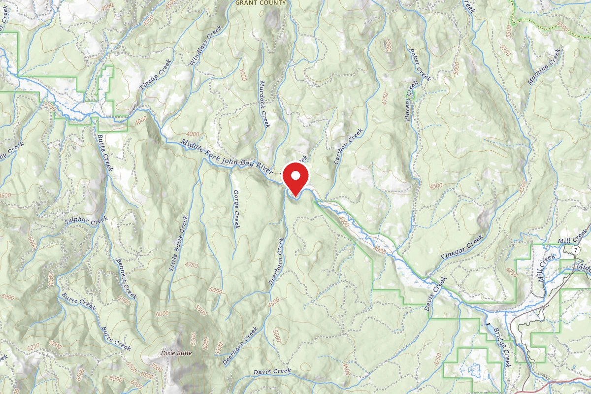 Deerhorn Forest Camp