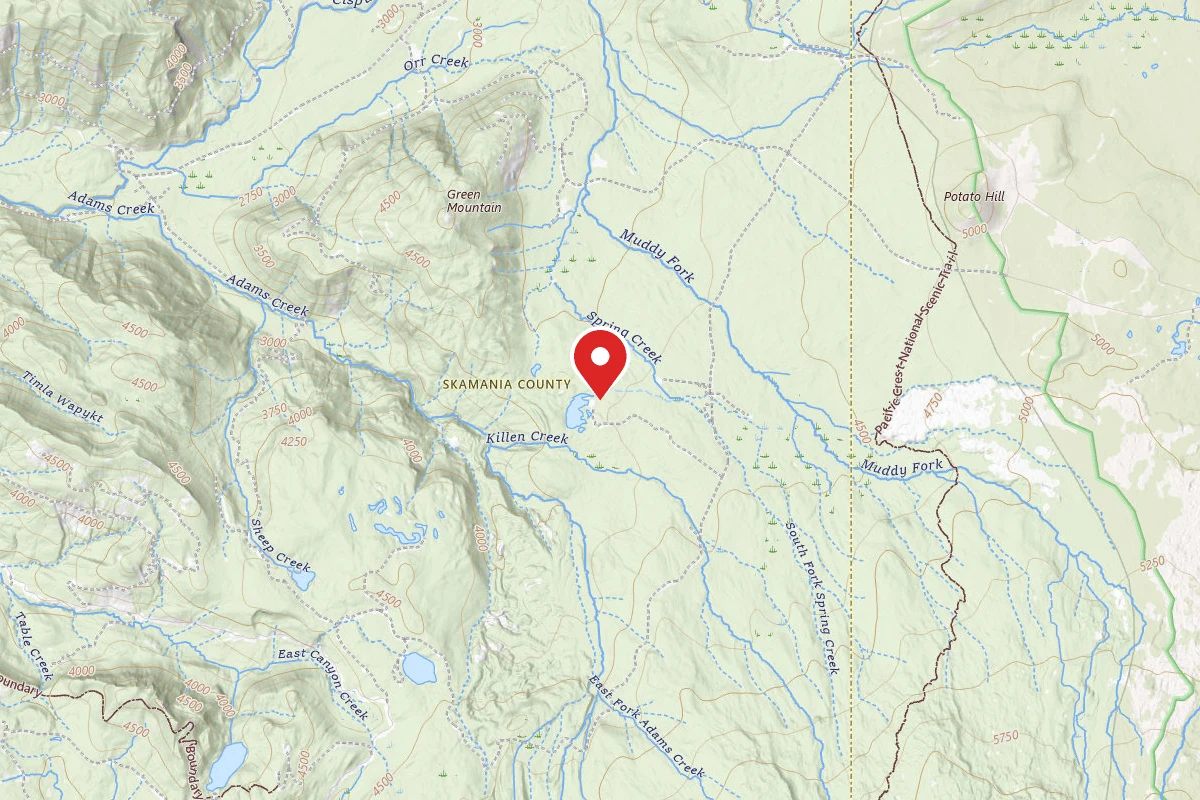 Gifford Pinchot National Forest Horseshoe Lake Campground