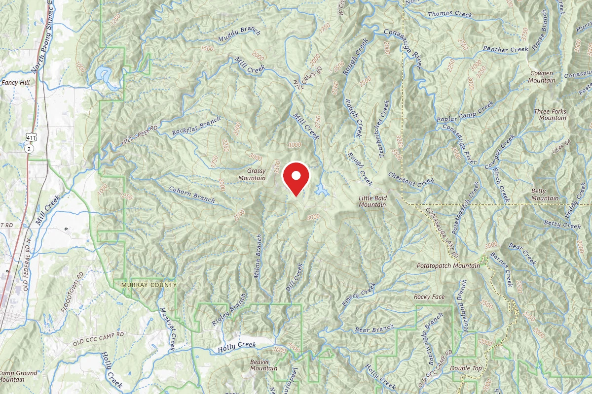 SongBird Trail Camp (Cohutta WMA)