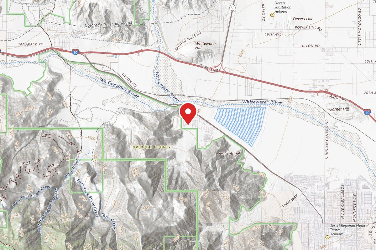 ∴Primitive Freedom - Palm Springs