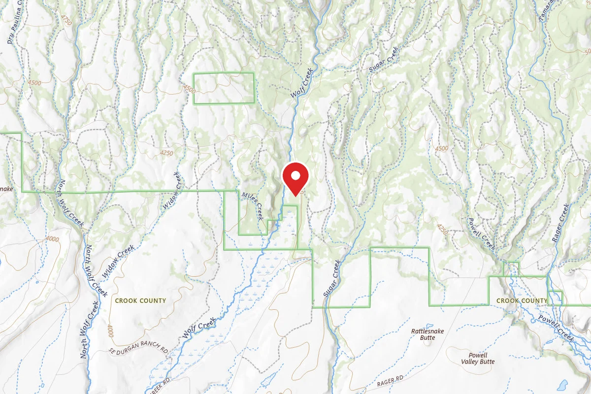 Salters Cabin Horse Camp
