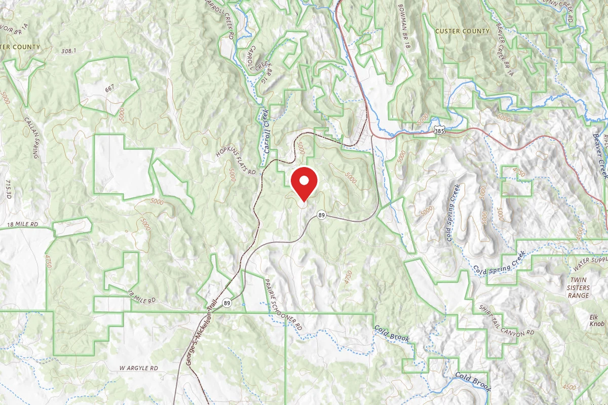 Black Hills Dispersed Site - Hwy 89