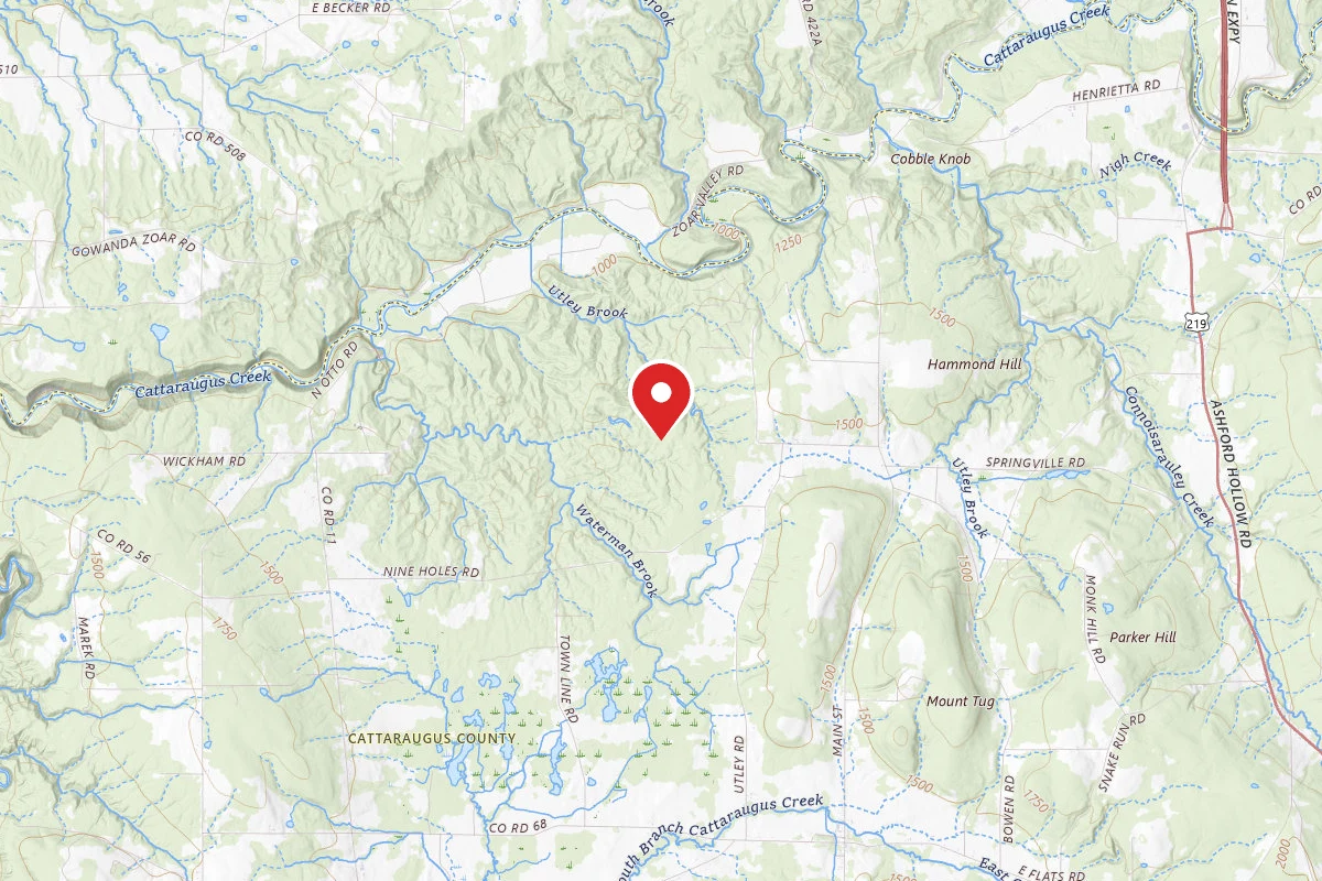East Otto State Forest 