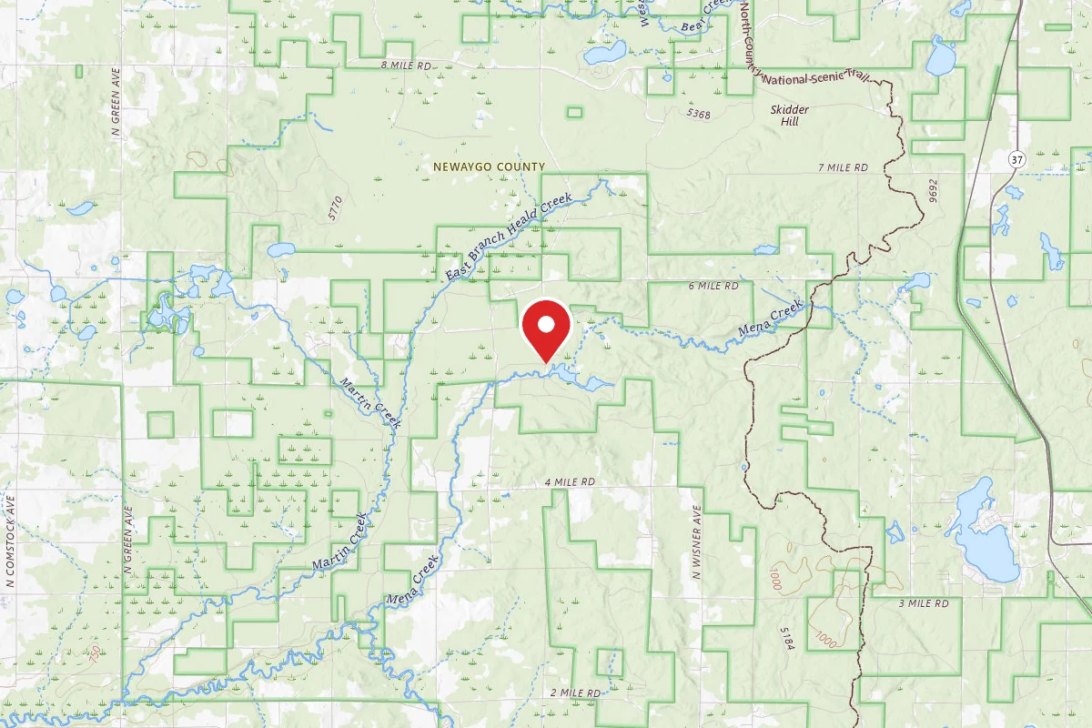 Minnie Pond Campground