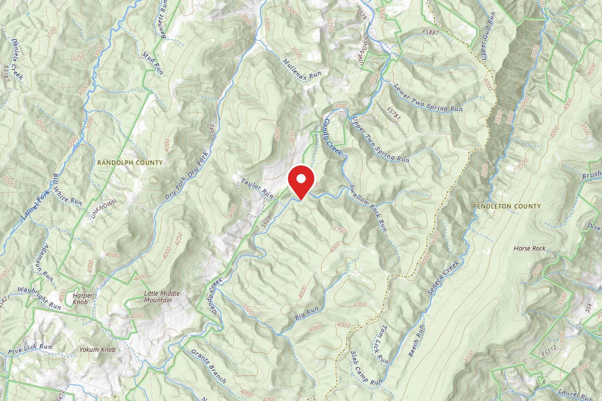 Gandy Creek Dispersed Camping