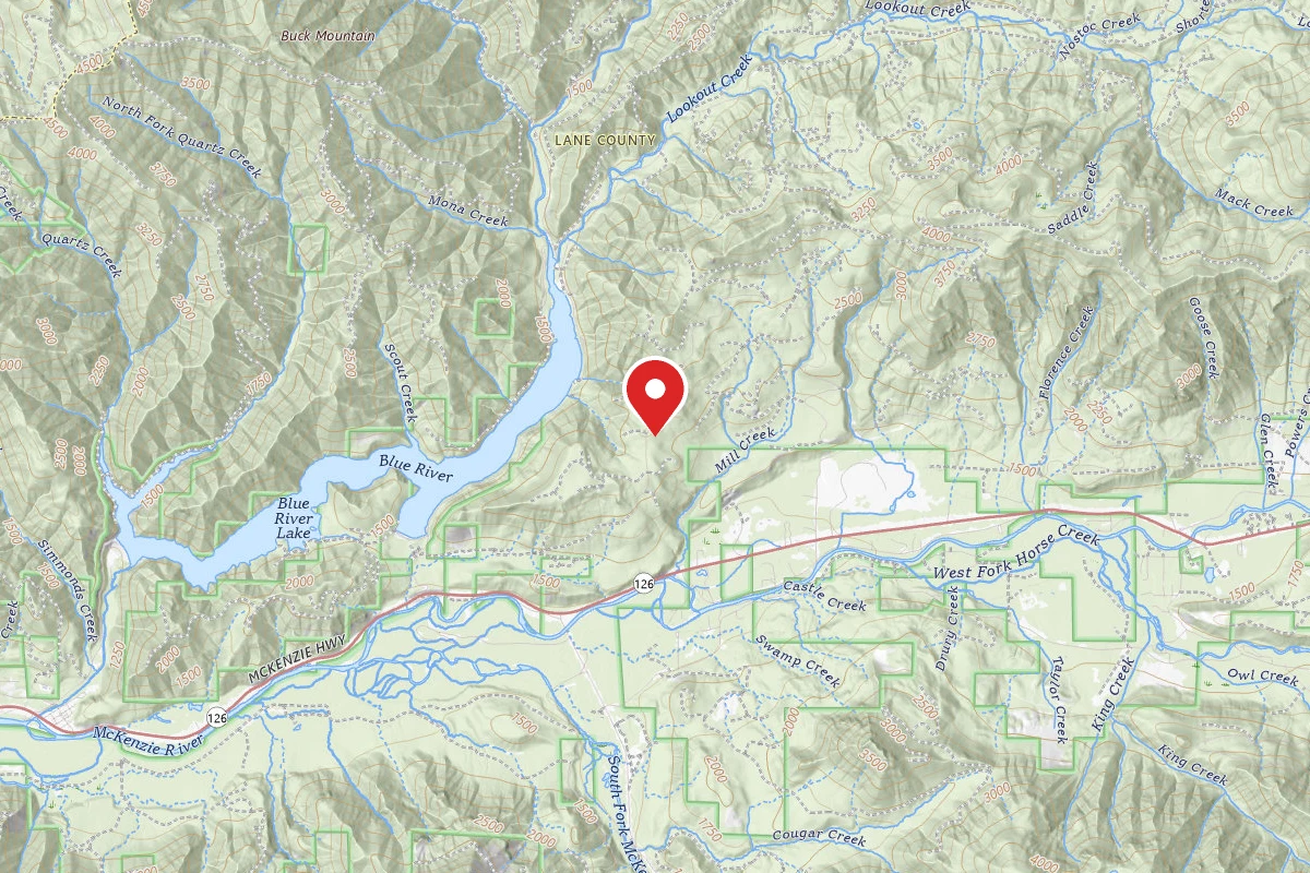 McKenzie River Area