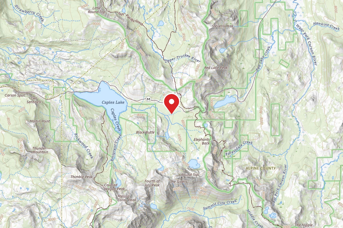 Carson Pass Dispersed Site